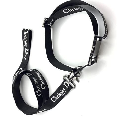 dior dog collar price|Dior dog leash.